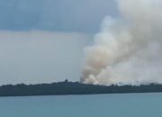 Kebakaran Lahan Terjadi di Pulau Bulan Batam