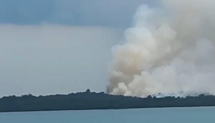 Kebakaran Lahan Terjadi di Pulau Bulan Batam