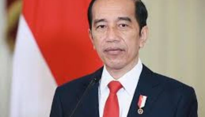 Istana Berkomentar Terkait Kejadian saat Jokowi Berkunjung ke Sumut