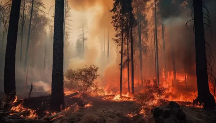 Pemko Pekanbaru Gelar Apel Antisipasi Karhutla