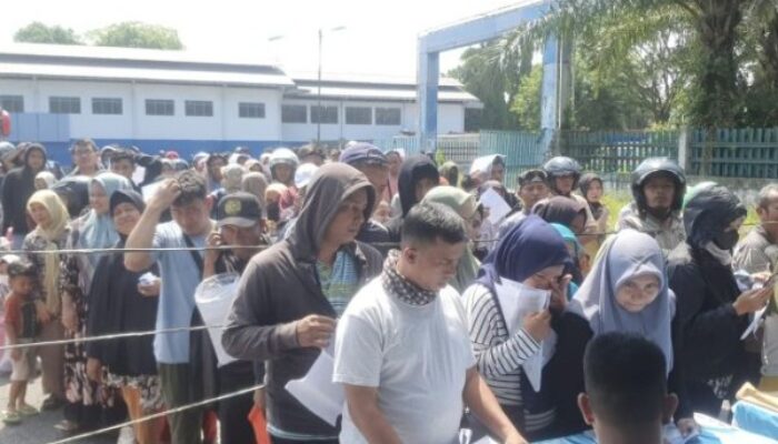 Pendaftar Mudik Bareng Pemko Medan Hari Pertama Membludak