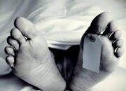 Kematian Santri Tebo Tak Wajar Hotman Paris Beri Atensi