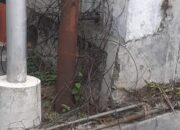 Limbah Kabel Optik Wifi Telkomsel Belum Mendapat Penanganan