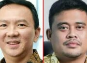 Peluang Besar Bobby Lawan Ahok Pilkada Sumut 2024