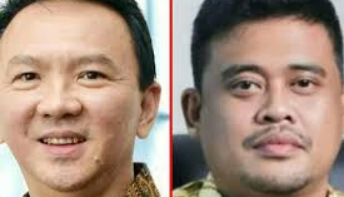 Peluang Besar Bobby Lawan Ahok Pilkada Sumut 2024