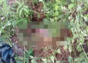 Mayat Sisiwi SMA Lampung Ditemukan di Dalam Parit Dengan Luka Tusuk
