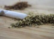 Polisi Periksa Pria Penyelundup Ganja Ke Rutan Kelas I Medan