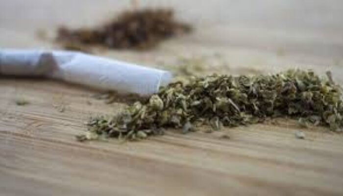 Polisi Periksa Pria Penyelundup Ganja Ke Rutan Kelas I Medan