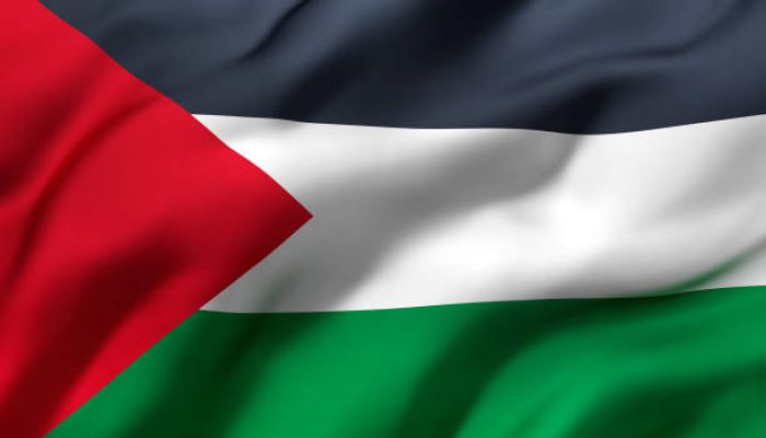 Lima Siswi Olok-Olok Palestina Meminta Maaf