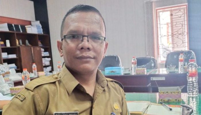 Pengelolaan Aset Tidak Maksimal, Pemkab Simalungun Terima Opini WTP