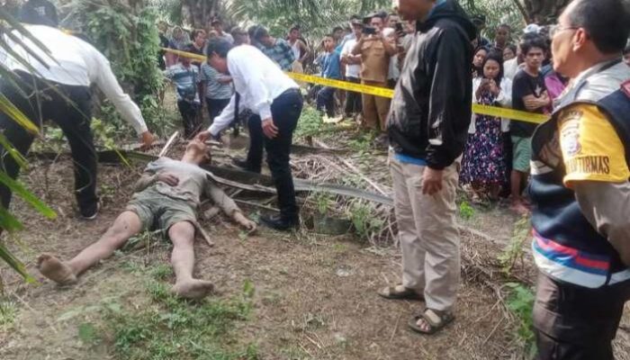 Hilang 1 Hari, Jenazah Manahan Ditemukan di Perkebunan Sawit