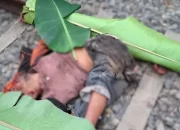 Pria Tanpa Identitas Tewas Ditabrak Kereta Api di Perlintasan Sinaksak