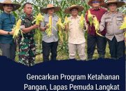 Gencarkan Program Ketahanan Pangan, Lapas Pemuda Langkat Bersama UPT PAS Rayon Langkat Panen Jagung Manis 