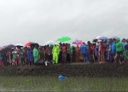 Remaja Perempuan Ditemukan Tewas di Persawahan Dengan 98 Luka Tusukan