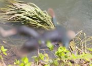 Polisi Berhasil Identifikasi Mayat Perempuan Terapung di Kali Code