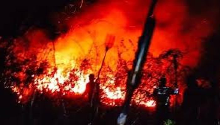 Kondisi Medan Yang Berat Menjadi Kendala Pemadaman Kebakaran di Samosir