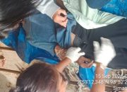 Seorang Pria Warga Panei Ditemukan Tewas Tergantung di Perladangan Jagung