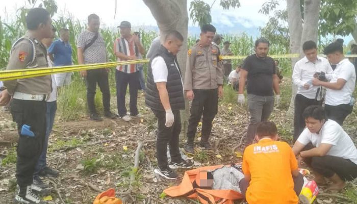 Mayat Pria Tergantung di Pohon, Polres Samosir Lakukan Evakuasi
