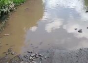 Warga Saribu Jandi kabupaten Simalungun Berharap Jalannya Diperbaiki