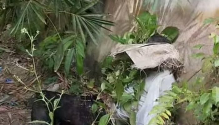 Mayat Pria Posisi Duduk Ditemukan di Tepi Sungai Bah Bolon Pematangsiantar