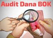 Isi Percakapan Bocor, Terungkap Pengelolaan Dana BOK Dinkes Toba Beraroma Pungli