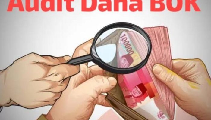 Isi Percakapan Bocor, Terungkap Pengelolaan Dana BOK Dinkes Toba Beraroma Pungli