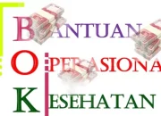 Kejari Toba Diminta Selidiki Aliran Dana BOK Puskesmas di Wilayahnya, Bupati : Kami Coba Telusuri