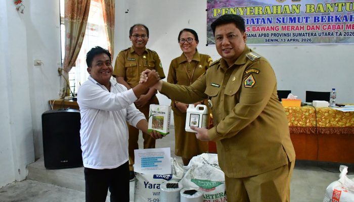 Bupati Samosir Serahkan Bantuan Bibit Pengembangan Cabai dan Bawang Merah, Kolaborasi dengan Pemerintah Sumut