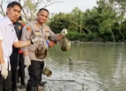 Kasus Konservasi Satwa, Dua Pria Didakwa PN Kisaran Satu Masih DPO