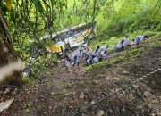 Bus Anak Sekolah Minggu Asal Batu Bara Masuk Jurang di Toba