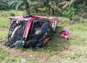 Hindari Mobil Pickup, Bus Halmahera Terguling 4 Orang Tewas