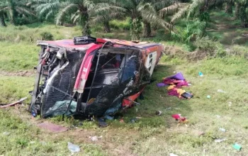 Hindari Mobil Pickup, Bus Halmahera Terguling 4 Orang Tewas