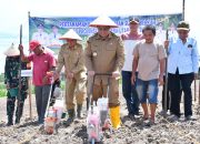 Bupati Vandiko Turun Lapangan Tanam Benih Jagung 40 Hektare Bersama Petani
