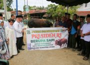 Wali Kota Wesly Serahkan Sapi Kurban Limosin Bantuan Presiden Prabowo di Masjid Amaliyah
