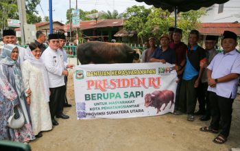 Wali Kota Wesly Serahkan Sapi Kurban Limosin Bantuan Presiden Prabowo di Masjid Amaliyah