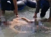 Seorang Pengunjung Objek Wisata Tangkahan Langkat Ditemukan Tewas
