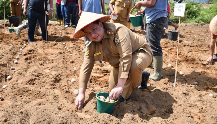 Bupati Samosir Ajak Kelompok Tani Buktikan Keberhasilan Program Kolaborasi Sumut Berkah