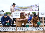 Bupati Samosir Serahkan Bibit Bawang Putih 4 Ton