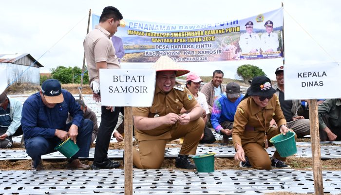 Bupati Samosir Serahkan Bibit Bawang Putih 4 Ton