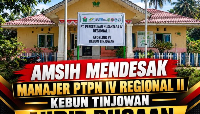 AMSIH Soroti Dugaan Pungutan Premi Pemanen Rp17,479.000 di PTPN IV Kebun Tinjowan