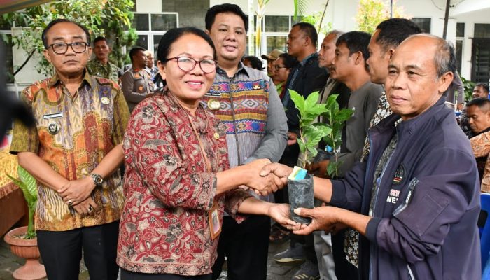 Bupati Samosir Salurkan 1,25 Juta Bibit Kopi kepada 245 Kelompok Tani